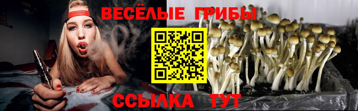 Галлюциногенные грибы GOLDEN TEACHER Ржев