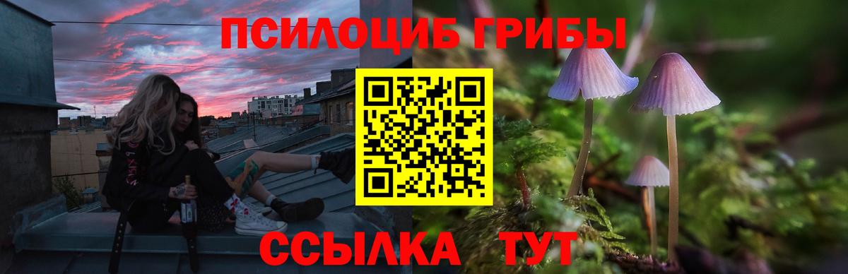 Галлюциногенные грибы Psilocybine cubensis  закладка  Ржев  Галлюциногенные грибы мухоморы  Вход с VPN 